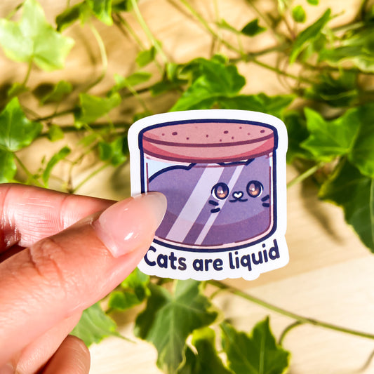Cats are liquid